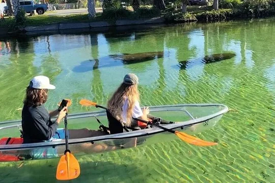 Weeki Wachee Clear Kayak Ecotours Manatee Season - November 14th-March 31st