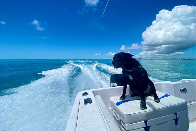 Explore the Waters of Key West