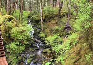 Alaska Bigfoot Adventures