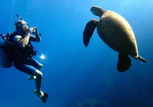 Private and Personalized Scuba Diving Adventures for All Experience Levels