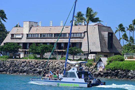 Oahu Catamaran Snorkel Tour with Guaranteed Turtles