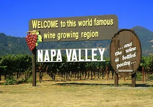 Napa or Sonoma Private Wine Tour from San Francisco