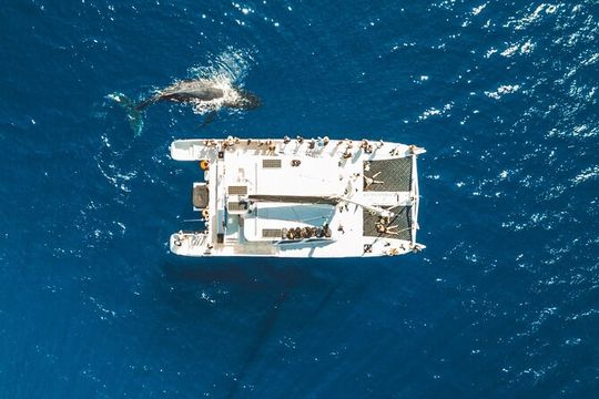 West Maui Snorkel & Sail