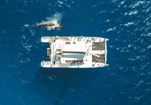 West Maui Snorkel & Sail