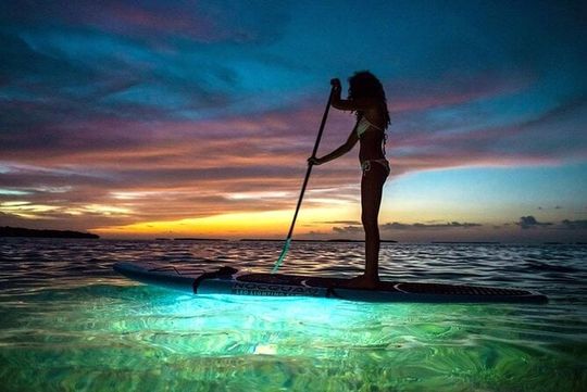 Miami Beach: Illuminated Sunset Paddleboard Tour