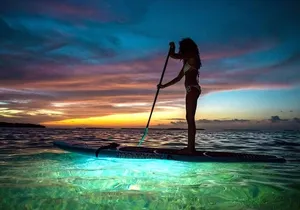 Miami Beach: Illuminated Sunset Paddleboard Tour
