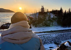 Ultimate Anchorage Winter Wildlife & Sunset Tour