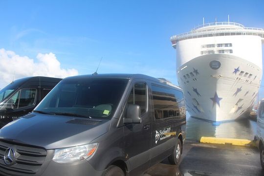 Private Shore Excursion Hilo Volcanoes National Park up to 10 PPL