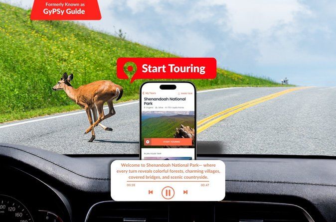 Self-Guided Audio Driving Tour in Shenandoah National Park