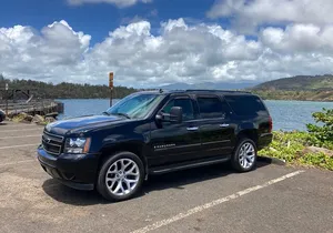 Kauai Cruise Ship Roundtrip Excurision Transfers