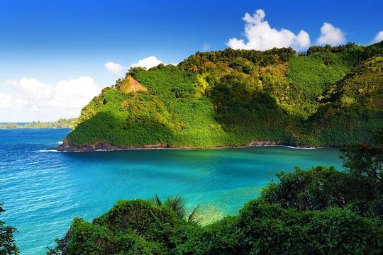 Cool Hawaii Exclusive: Maui Tropical Rainforest Small Group Tour