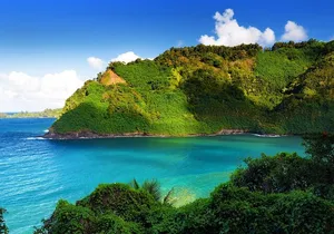 Cool Hawaii Exclusive: Maui Tropical Rainforest Small Group Tour