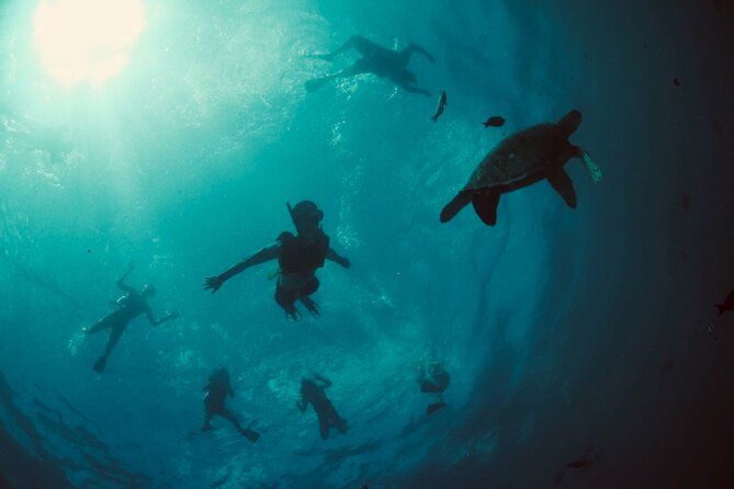 Waikiki Snorkel Tour