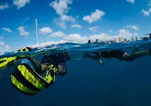 Waikiki Snorkel Tour