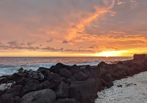 Ali'i Private Tour in Luxury Van