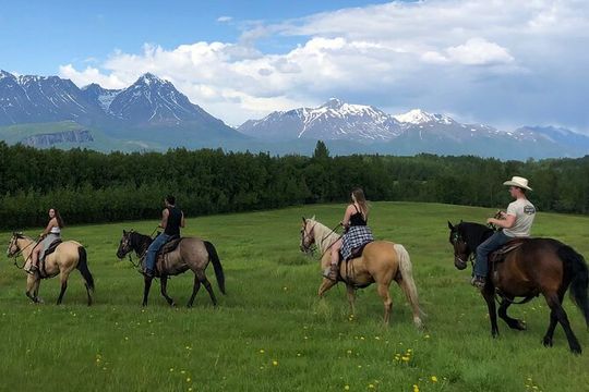 Zipline & Horseback Adventure in Alaskan Mountains