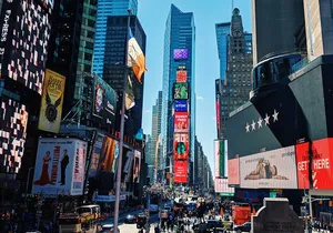 Manhattan Highlights Private Tour by Car