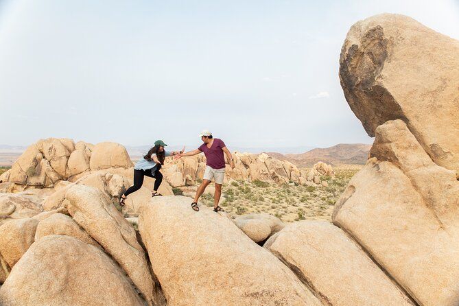 Joshua Tree Full Day Private Tour & Hike