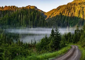 Ketchikan Backcountry Driving Tour Through the Tongass