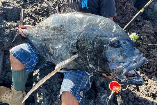 Private Full Day of GT Fishing