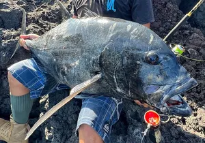 Private Full Day of GT Fishing