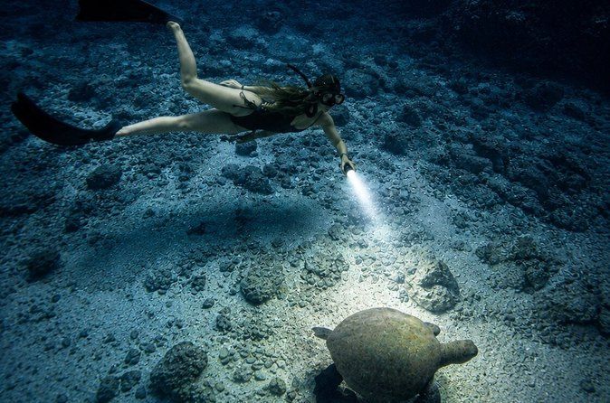 Turtle Town After Dark: Snorkel With Lights & stars