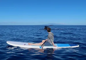 Private Paddleboard (SUP) Whale Watch: All Skill Levels Welcome
