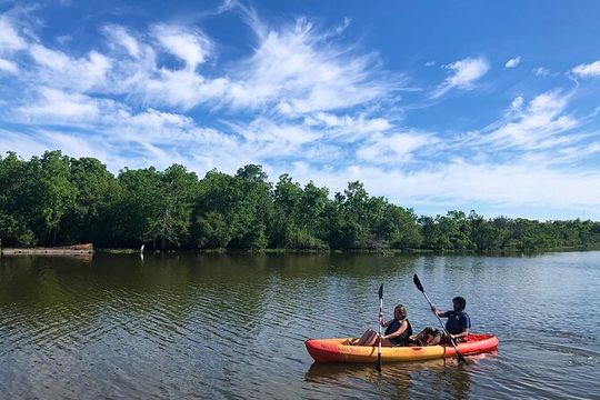 New Orleans Self-Guided Kayak Bayou Swamp Tour