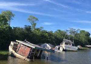New Orleans Self-Guided Kayak Bayou Swamp Tour