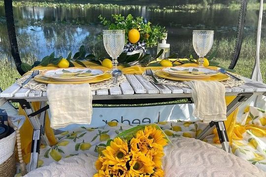 Turtle Town After Dark: Night Snorkel With Lights & Photo's