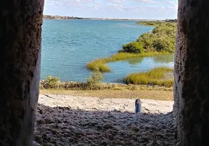 ST. Augustine Historic Founding to Gilded Age Walking Tour