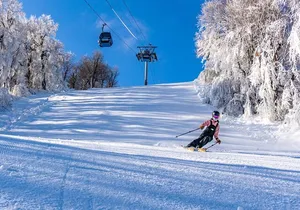 Belleayre Mountain Ski Center Day Trip from New York City