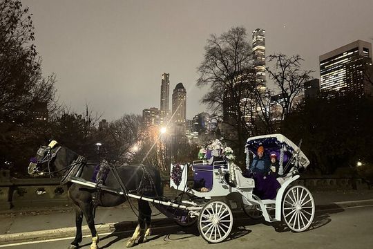 NYC : Magical Christmas Lights Private Horse Carriage Ride