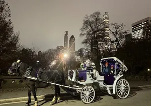 NYC : Magical Christmas Lights Private Horse Carriage Ride