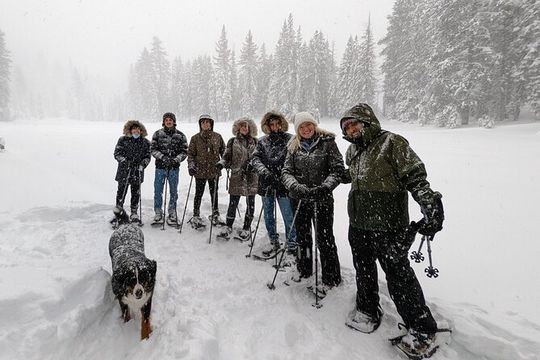 Introductory Guided Snowshoe Tour