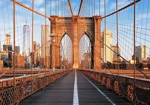 Louis Armstrong and Jazz Private Walking Tour with Concert