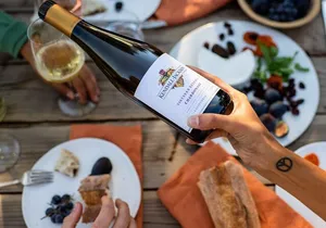 Russian River Weekend Wine Tasting & Gourmet Lunch