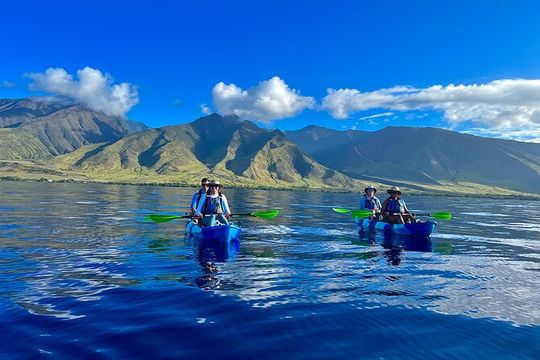 Kayak & Turtle Town Snorkel(Turtles Guaranteed) + Whale Watching