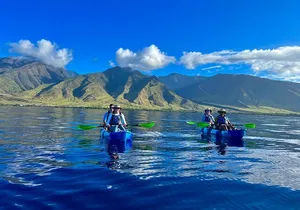 Kayak & Turtle Town Snorkel(Turtles Guaranteed) + Whale Watching