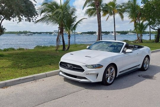 French tour of Miami in convertible mustang