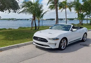 French tour of Miami in convertible mustang