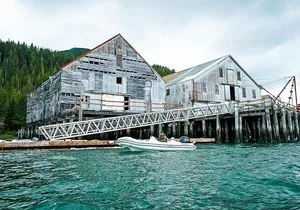 Wilderness Zodiac Quest