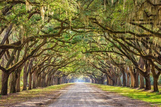 1-Hour Bonaventure Cemetery Golf Cart Guided Tour in Savannah