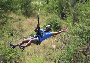 Private Half-Day Circle Island Highlights Tour in Oahu