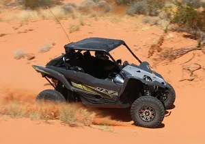 Valley of Fire 2-Person UTV Tour Las Vegas Most Scenic ATV Tour