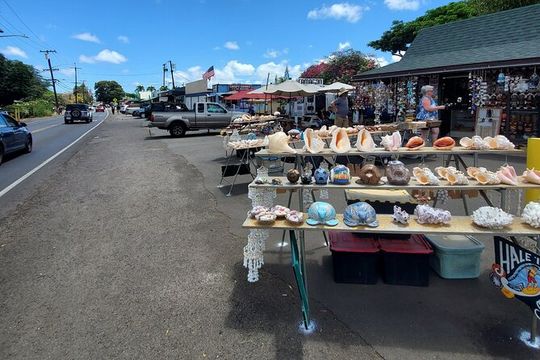 Round Trip North Shore Shuttle from Waikiki to Haleiwa Town / Haleiwa Harbor