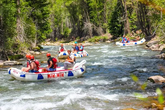 Telluride Afternoon Half Day Rafting Trip - San Miguel River