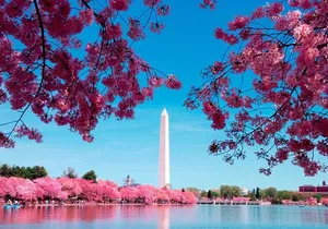 Morning Monuments City Tour with Washington Monument Ticket