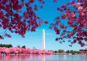 Morning Monuments City Tour with Washington Monument Ticket