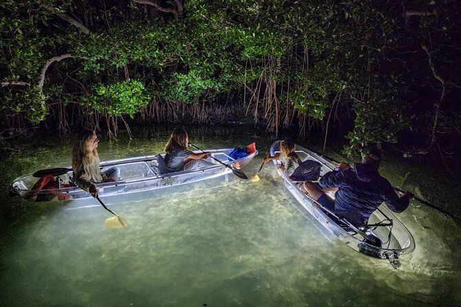 Sarasota - Clear Kayak LED Night Glass Bottom Tour